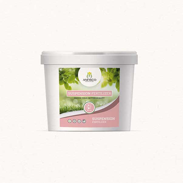 producrt-31 m